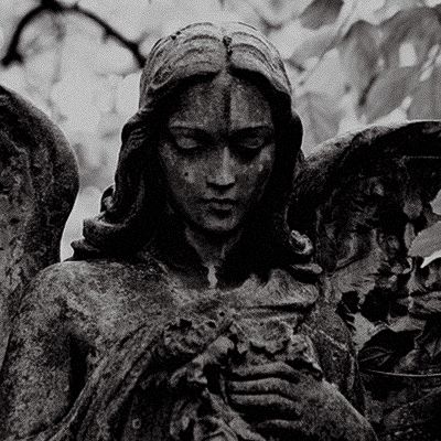 Black. (@blackdreamvibes) on Twitter photo 