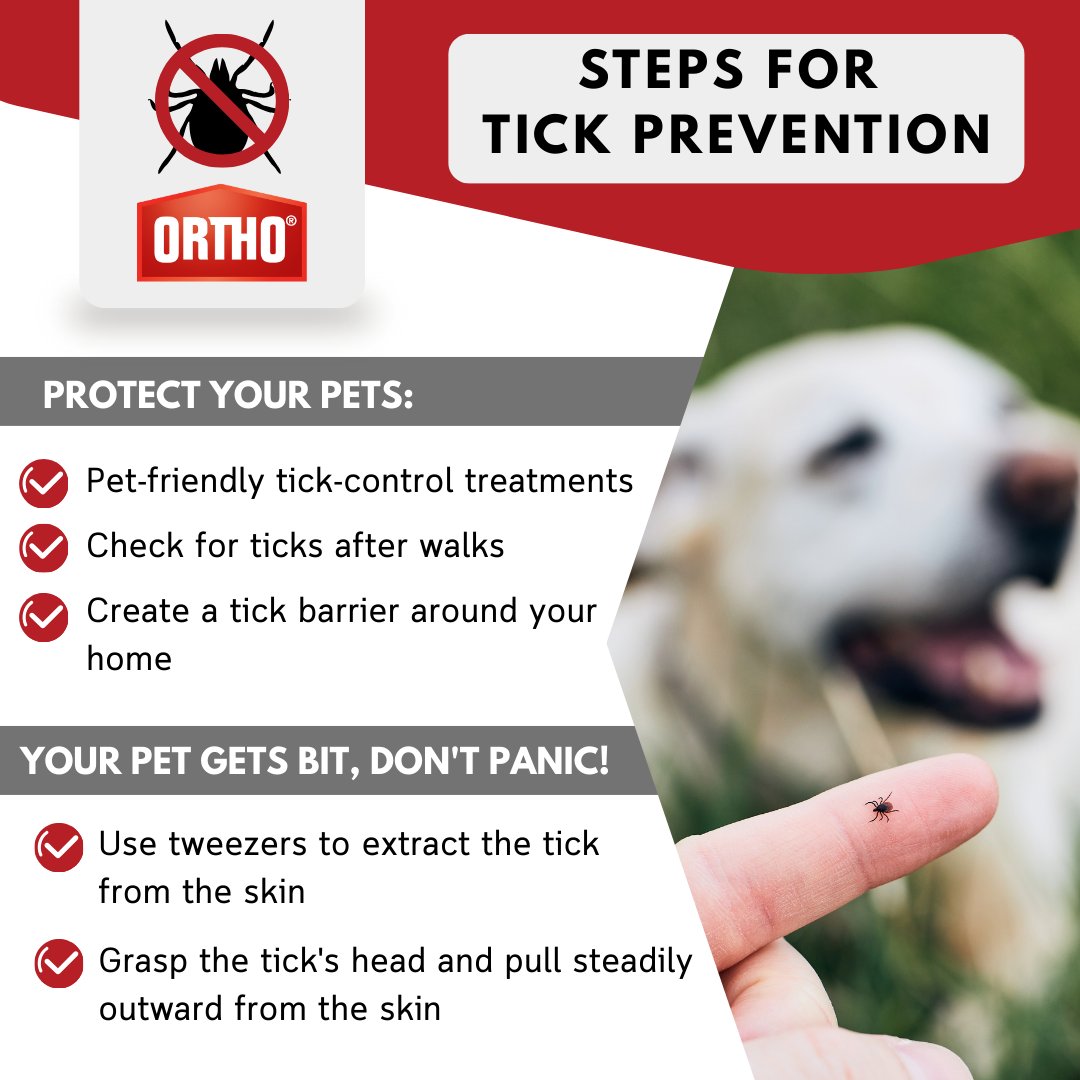 Your pets deserve tick free play time! 
-
Ortho® Bug Clear Insect Killer helps protect your home from bugs before they become a problem — indoors and out.

#Tickawarenessweek #ticks #ortho
