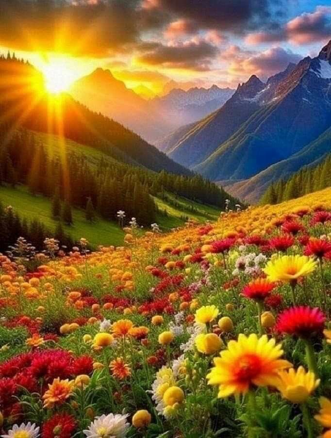 Brilliant sunset  🔆