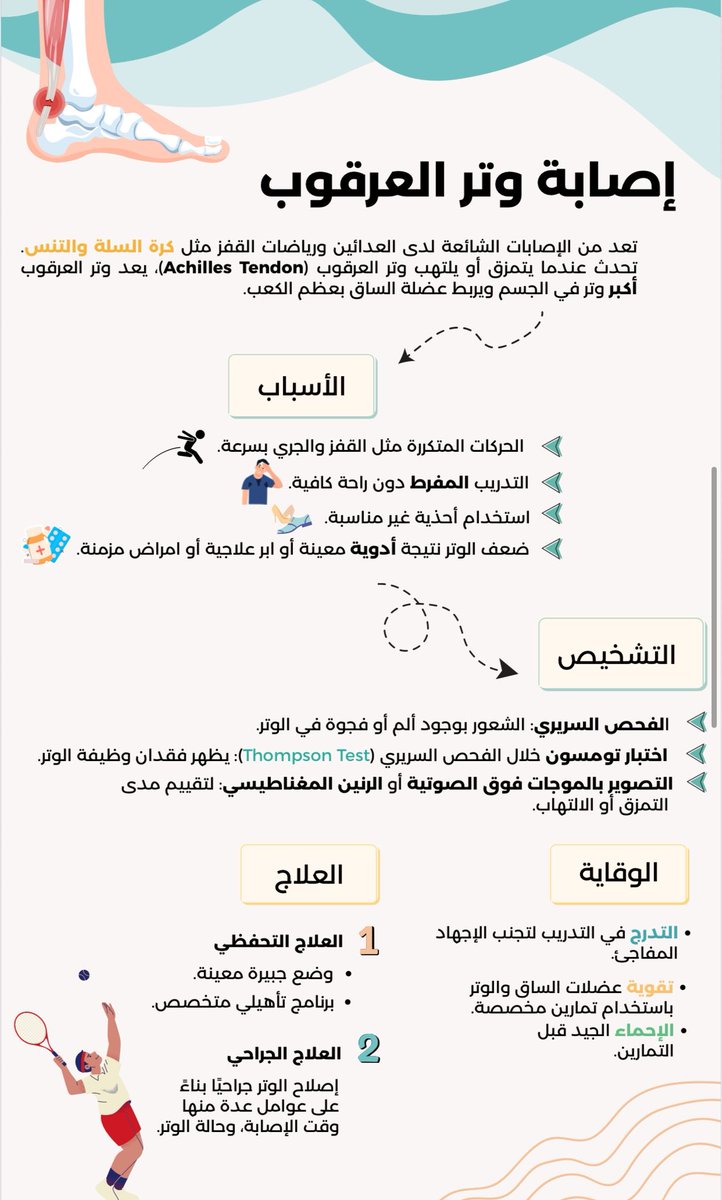 2️⃣- تمزق وتر العرقوب:
يُعد وتر العرقوب من أقوى أوتار الجسم، لكن قد يتمزق بسبب الحركات المفاجئة أو الإجهاد الزائد.
غالبًا يصيب الرياضيين أو من يعود للنشاط بعد انقطاع طويل.

#صحة_قدمك