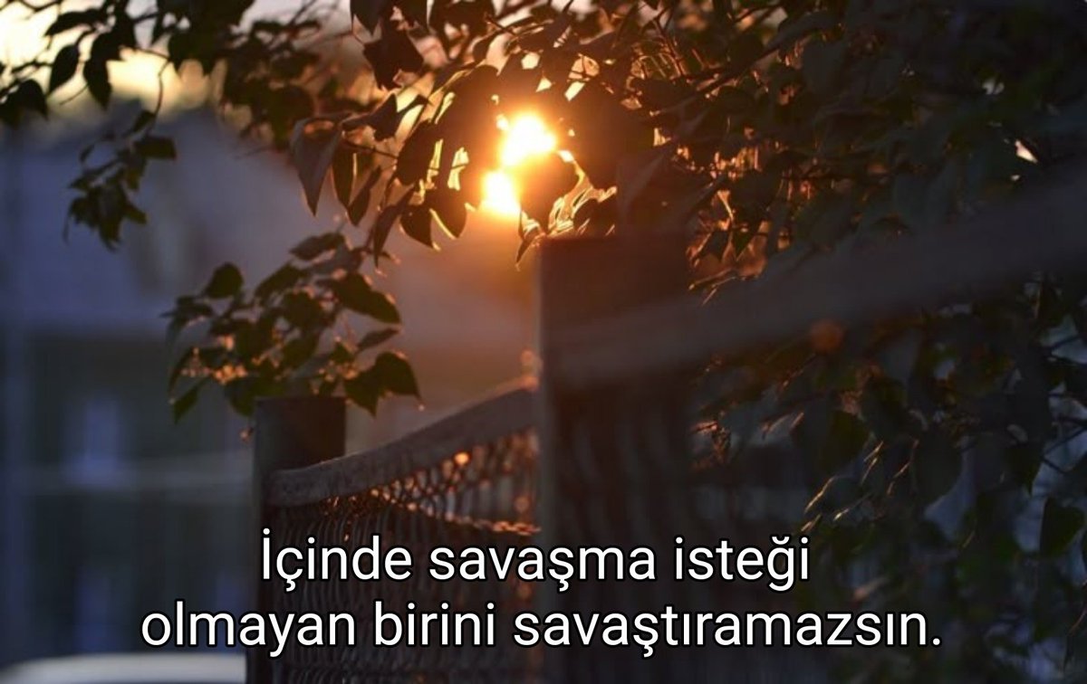 fa mîa (@sofarmia) on Twitter photo 