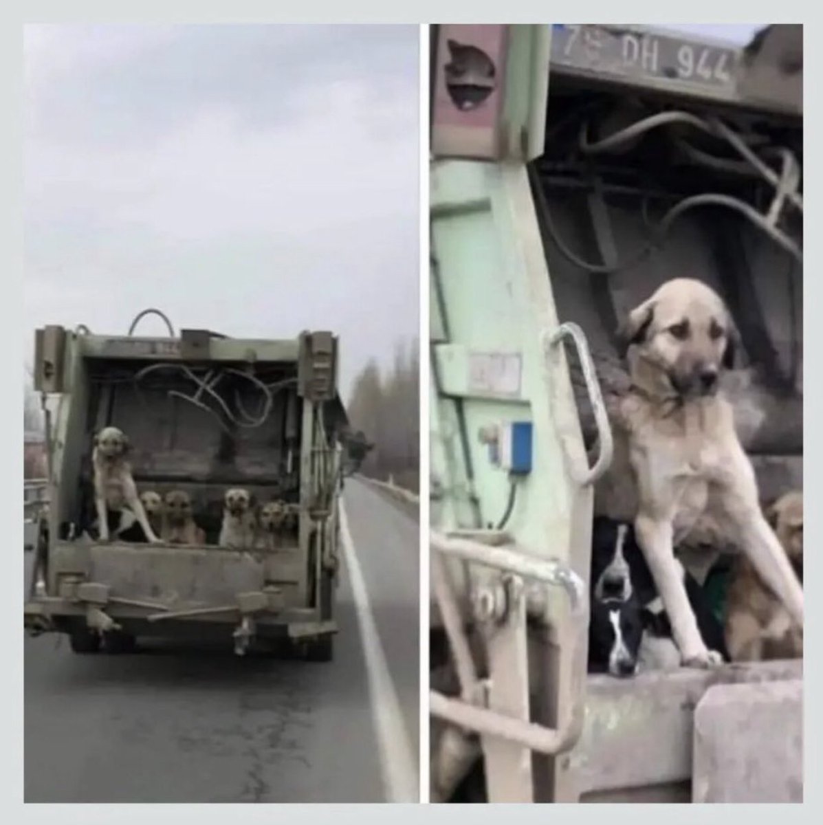 Bana kalbim yokmuş gibi davrandılar 😔 Halbuki kalbi olmayan sizdiniz ..!! #YasayıİİptalEtAYM #YasamHaktırAYM