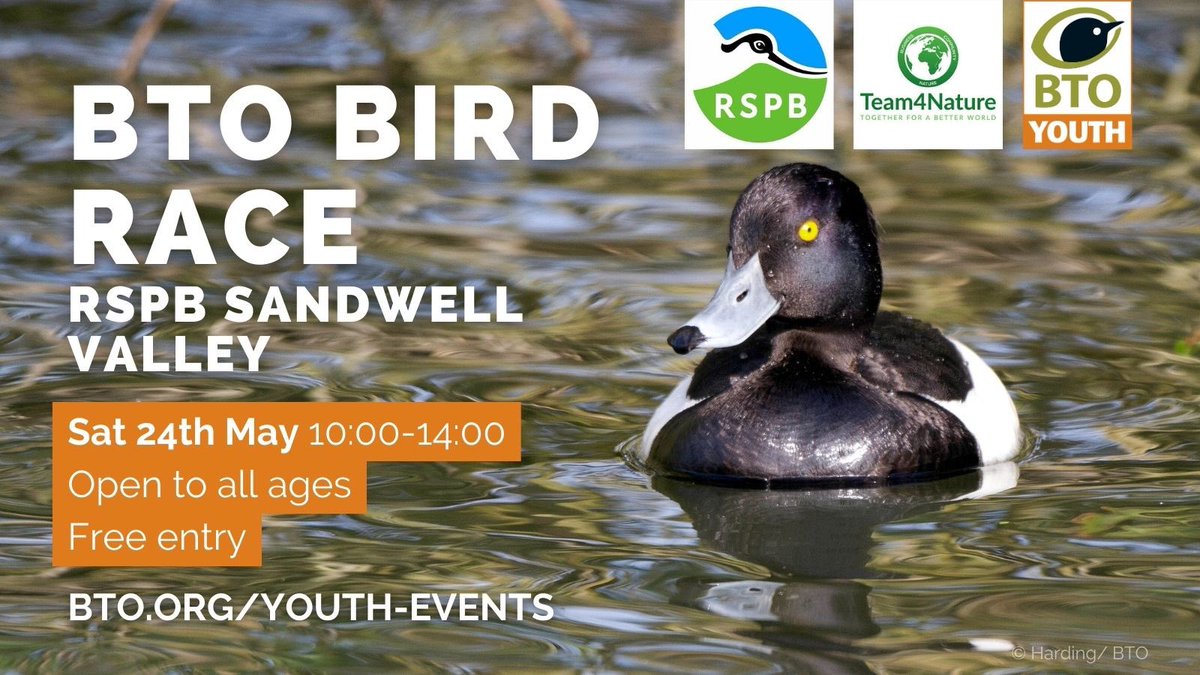 Do you know someone who would love to develop their birdwatching skills by joining <a href="/_BTO/">BTO</a> Youth, <a href="/Natures_Voice/">RSPB</a> &amp; myself for a FREE and fun bird race on Saturday 24th May at <a href="/RSPBSandwell/">RSPB Sandwell Valley</a>?

Binoculars provided. More info &amp; booking here: 
bto.org/community/even…