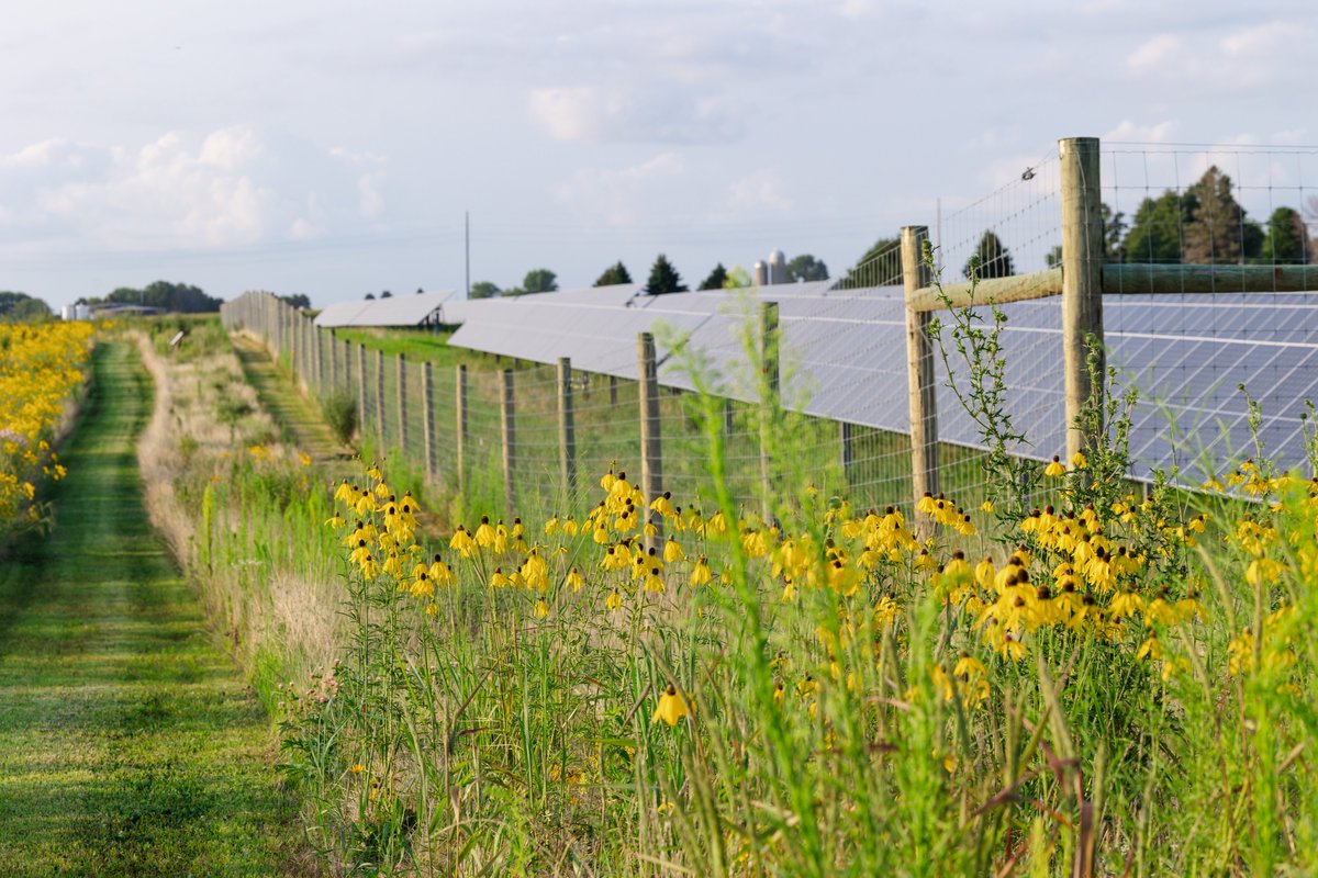 ValentBioSci's tweet image. Celebrate #MothersDay with a stroll through our Jiri-Rita Prairie Park if you’re near Osage, IA. Enjoy wildflowers, local wildlife, scenic views, and a solar field generating over 3 million kWh/year. Open to the public! #Agriculture 

More info: valentbiosciences.com/jiri-rita-prai…