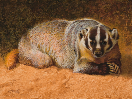 Trailside1963's tweet photo. Fierce, fearless, and rooted in the land. 'Original Sod Buster' by Ezra Tucker captures the grit and spirit of the American badger. #EzraTucker #WildlifeArt 

Ezra Tucker
Original Sod Buster
acrylic on board
20h x 30w in
50.80h x 76.20w cm
$ 18,000 

https://t.co/ovdBexPe1H https://t.co/vbINrVBYU0