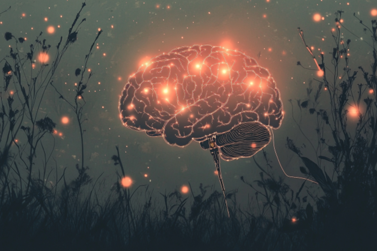 Vagus Nerve Stimulation Erases PTSD

A groundbreaking clinical study paired vagus nerve stimulation (VNS) with traditional prolonged exposure therapy to treat patients with treatment-resistant PTSD.

Remarkably, all nine participants no longer met the criteria for PTSD up to six