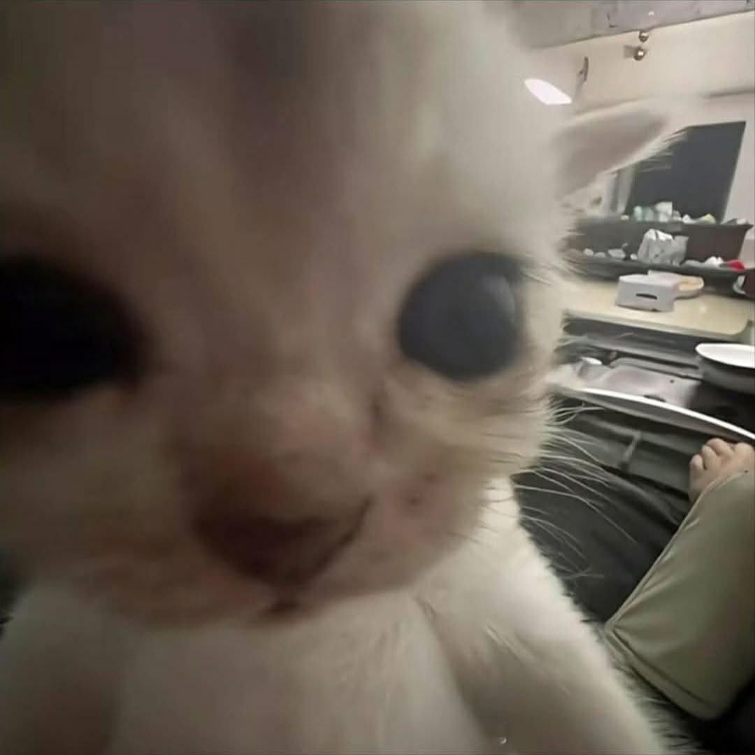 - Mi cara cuando voy caminando y sin querer le saco el tenni a la persona de en frente