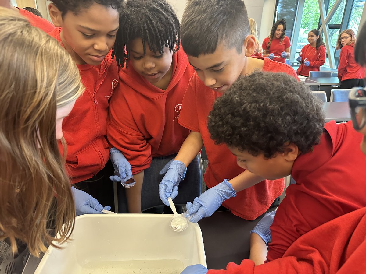 GuyonNicole's tweet image. 6th grade scientists @Community_Prep hard at work studying macro invertebrates with @narrabay