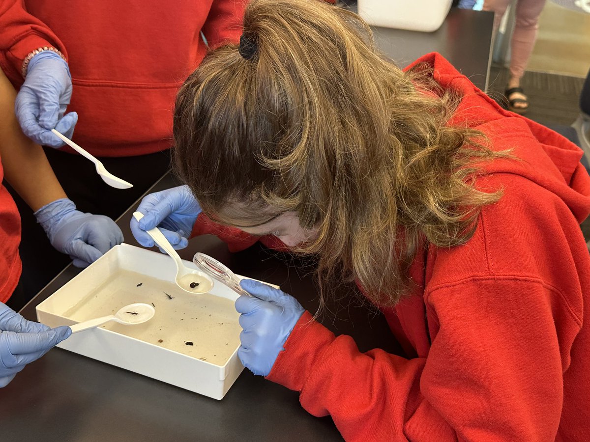 GuyonNicole's tweet image. 6th grade scientists @Community_Prep hard at work studying macro invertebrates with @narrabay