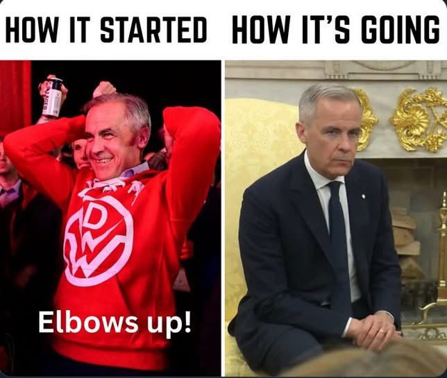 LaciMarieKnight's tweet image. 