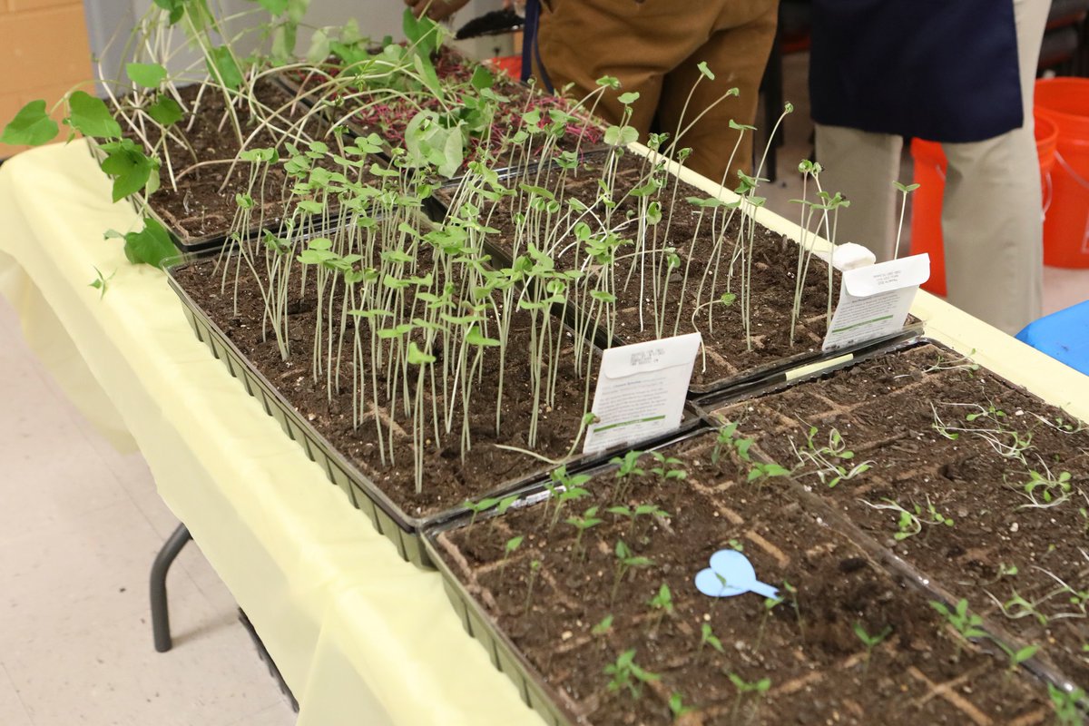 🌿🍋🪴DISCOVERING AG is a summer camp where Savannah-Chatham County Public School System rising  6th to 9th-grade students can explore the science, technology, and careers behind gardening, food production, and sustainability.  
sccpss.com/camps