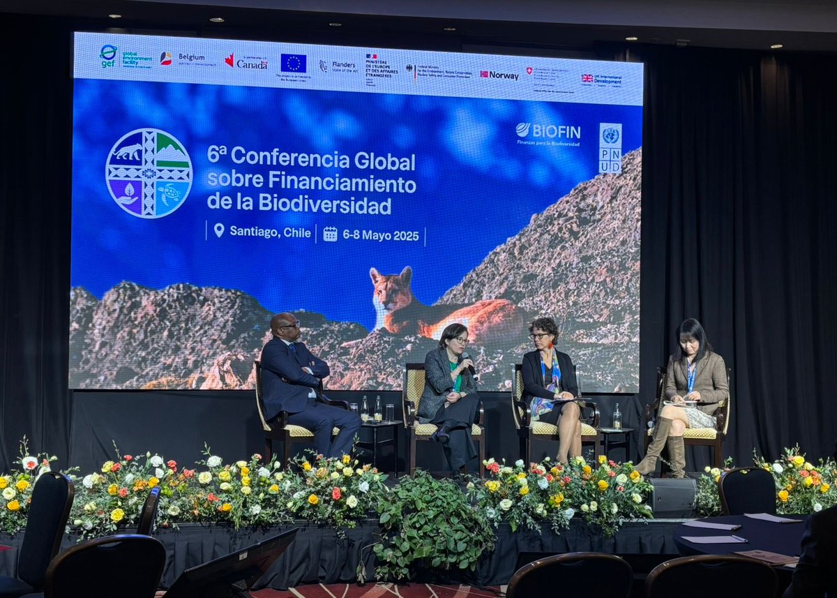 CONAFIPS's tweet photo. Somos parte de la 6ª Conferencia Global de Financiamiento para la Biodiversidad @UNDPbiofin, organizada por el @pnud. 

Este evento se llevará a cabo hasta el 8 de mayo de 2025 en 📍Santiago de Chile, y reúne a representantes de más de 130 países. https://t.co/A0imE4JgqE