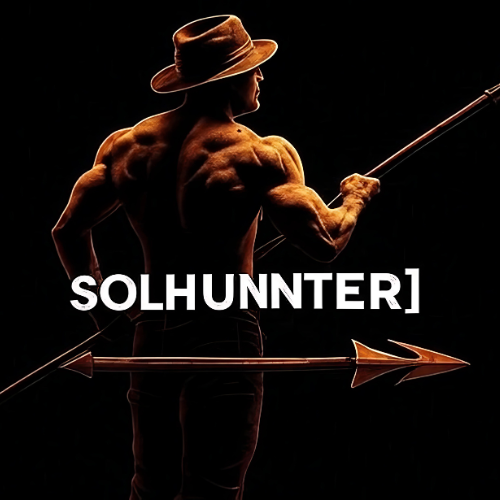 SOLHUNTER tweet media