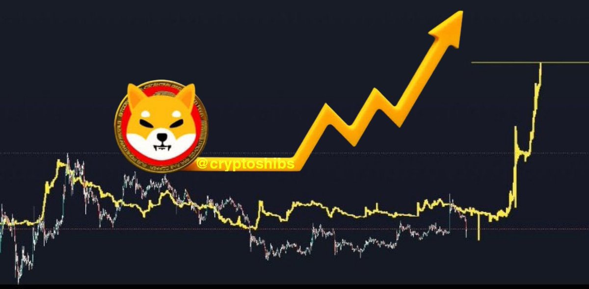 #SHIB Will Smash All Targets!!