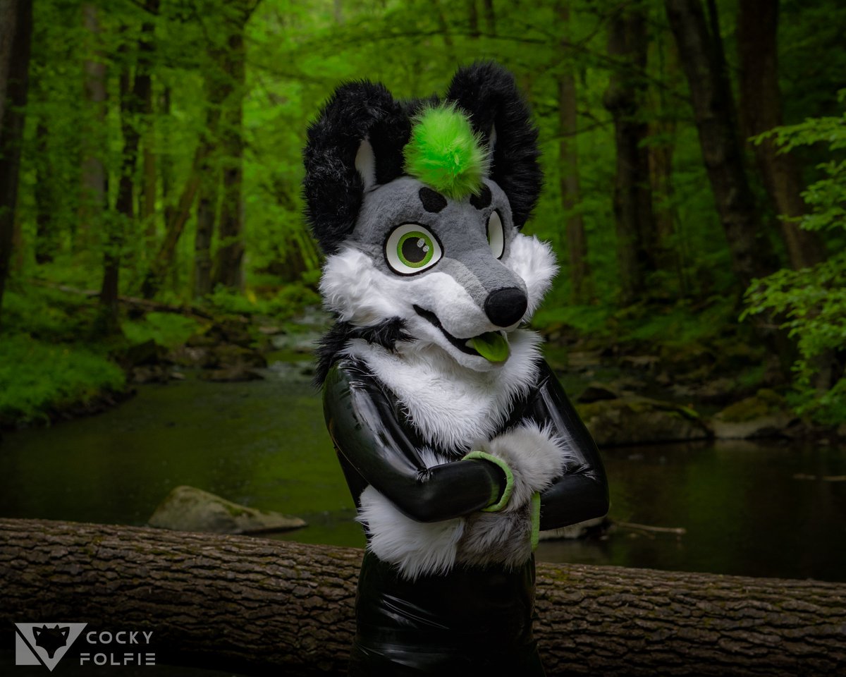 And the result of that trip :3

📸: <a href="/CockyFolfieAD/">CockyFolfie</a> 

#latexfur #rubberfur