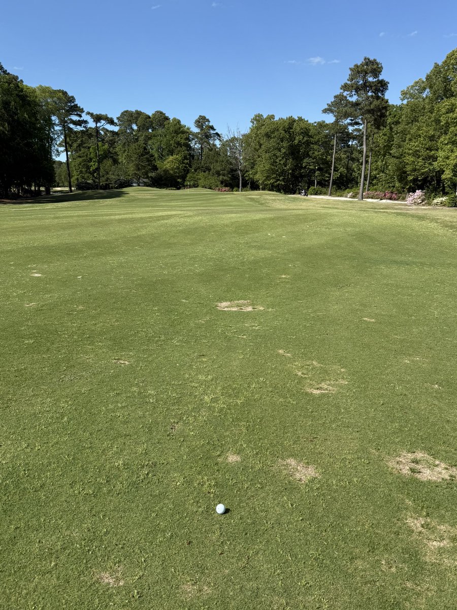 Plisken2112's tweet image. Got you covered, out for a little quality control and cold
beverages this afternoon! #esva #palmerdesign #devilsbackbone