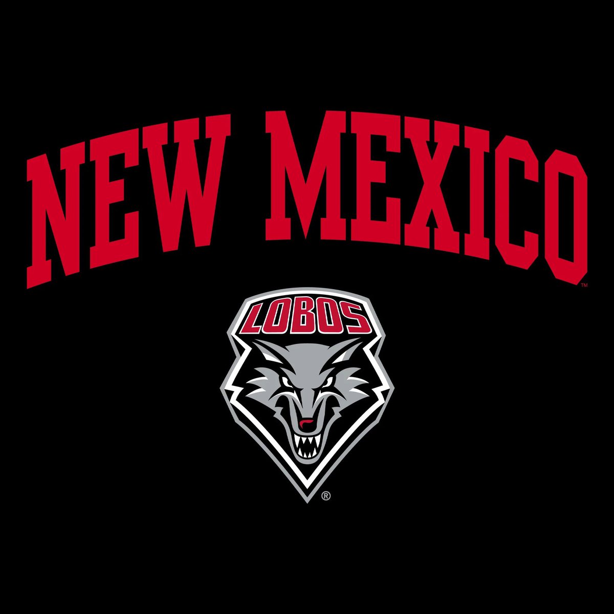 #AGTG Blessed to receive an offer from <a href="/UNMLOBOS/">New Mexico Lobos</a>!! <a href="/CoachBignell/">Clay Bignell</a> <a href="/coach_nowinsky/">Spence Nowinsky</a> <a href="/natep4/">Coach Nathan Palmer</a> <a href="/Coach_Eck/">Jason Eck</a> <a href="/DonnieBaggs_/">#HCville</a> <a href="/coachctaylor_/">Coach taylor</a> <a href="/coachsmalley23/">Josh Smalley</a> <a href="/CoachTheriot/">Chris Theriot</a> <a href="/BenjaminGolan/">Ben Golan</a> <a href="/TFloss32/">Todd Glawson</a> <a href="/247Hudson/">Hudson Standish</a> <a href="/GPowersScout/">Greg Powers 🏟️</a>