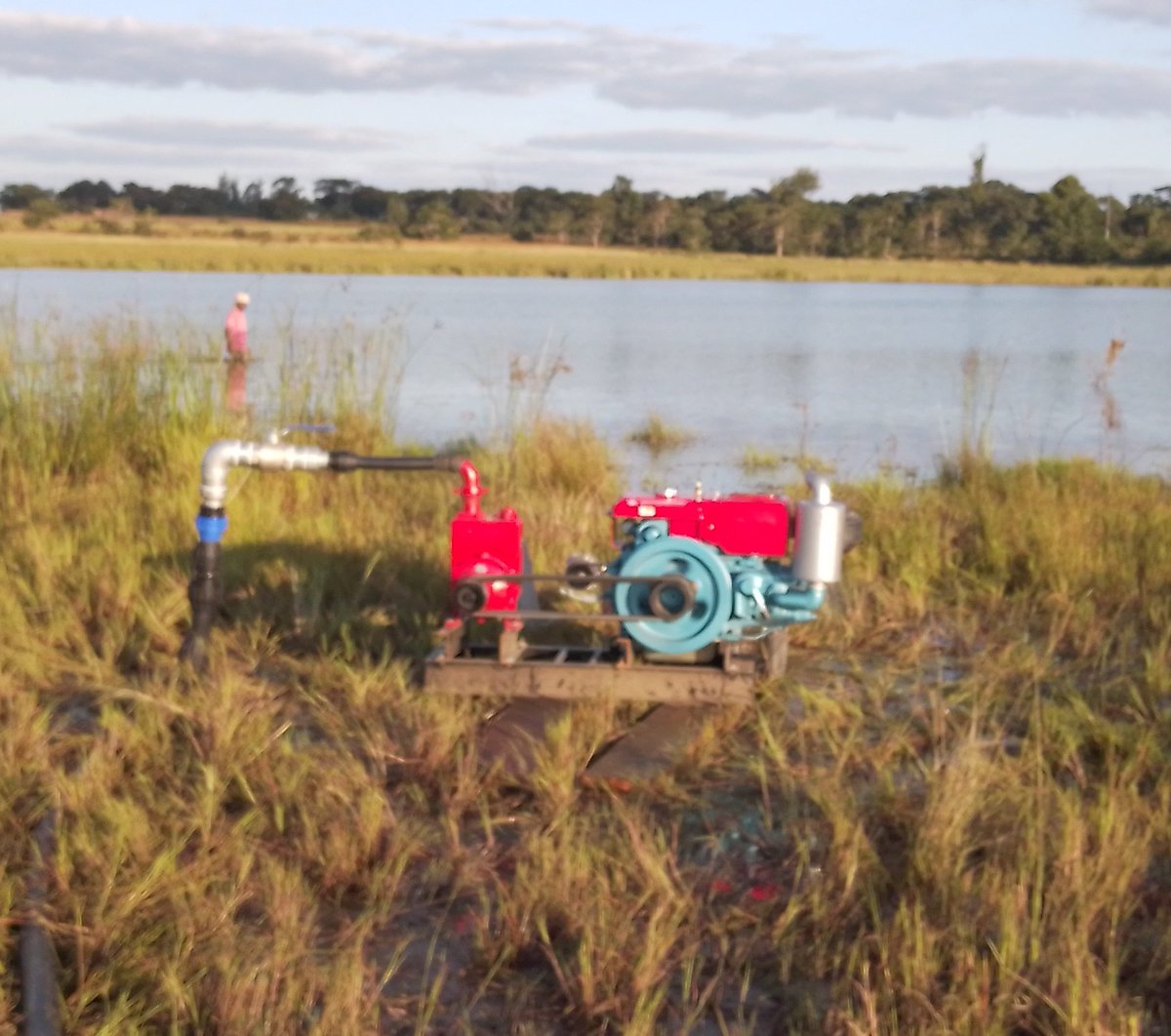 The downside of buying a reconditioned pump engine or motor is most do not come with a data plate meaning its difficult to tell the specs of the item. Further to that its sold by someone who wants you to believe their word not that of manufacturer!!!