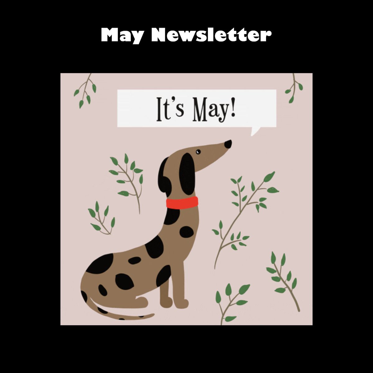 May News &amp; Health Updates

Some quick updates on what's going on with my health AND my next book!

mailchi.mp/9d79946615e7/m…