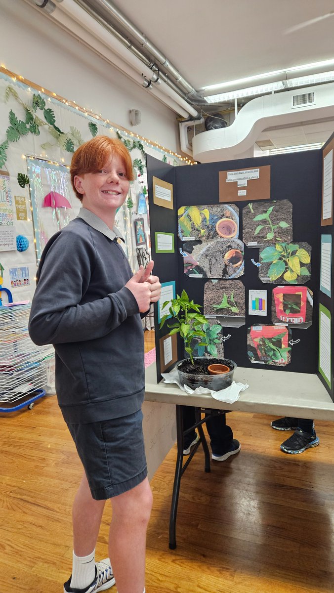 SHCScience_78's tweet photo. Cathedral School Science Fair
@wearecathedralpk8
#wearecathedralpk8 https://t.co/gdOuj1Oubn