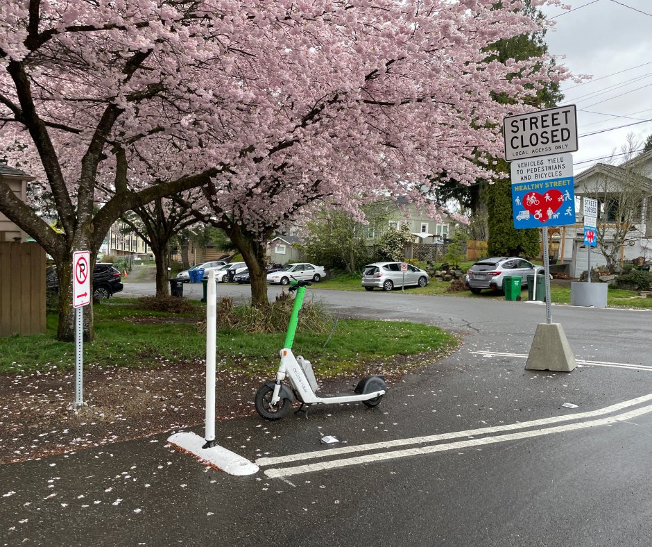 seattledot's tweet photo. Thank you for your feedback! 👏
Due to popular demand – and funds from the #LevyToMoveSeattle – N 100th Ave, between 1st Ave NW and Linden Ave N, is now officially a permanent Healthy Street. ❤️
Learn more and subscribe to email updates: https://t.co/lMD0jXMPD2 https://t.co/jdXZ2dnL0R