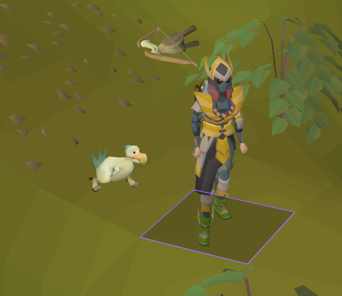 Welcome to the family, little annoying chicken