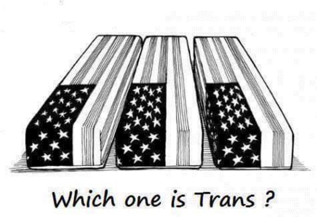 Supremacist Court ruled transgender 🏳️‍⚧️ service men and women "dishonorable" and military ban to take effect.