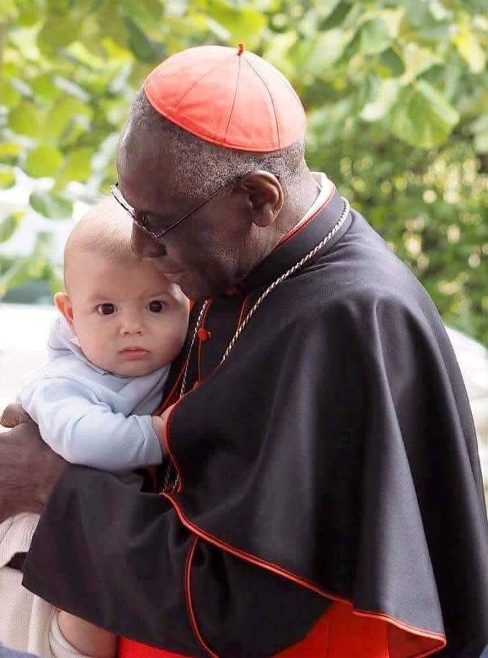 Sachinettiyil's tweet photo. "The men and women who pray in silence, in the night, and in solitude are the supporting pillars of Christ's Church."- 

Robert Cardinal Sarah https://t.co/kYs3B5ImBy