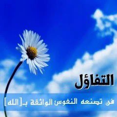 دانــه القرني🤍. (@danah_aq3) on Twitter photo 