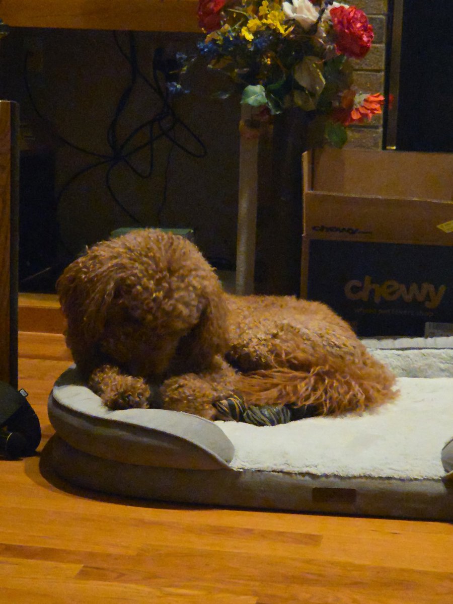 Michelle DeYoung tweet media