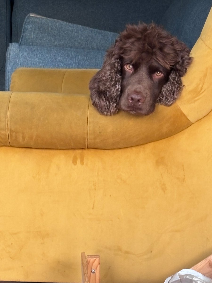 James Buick tweet media