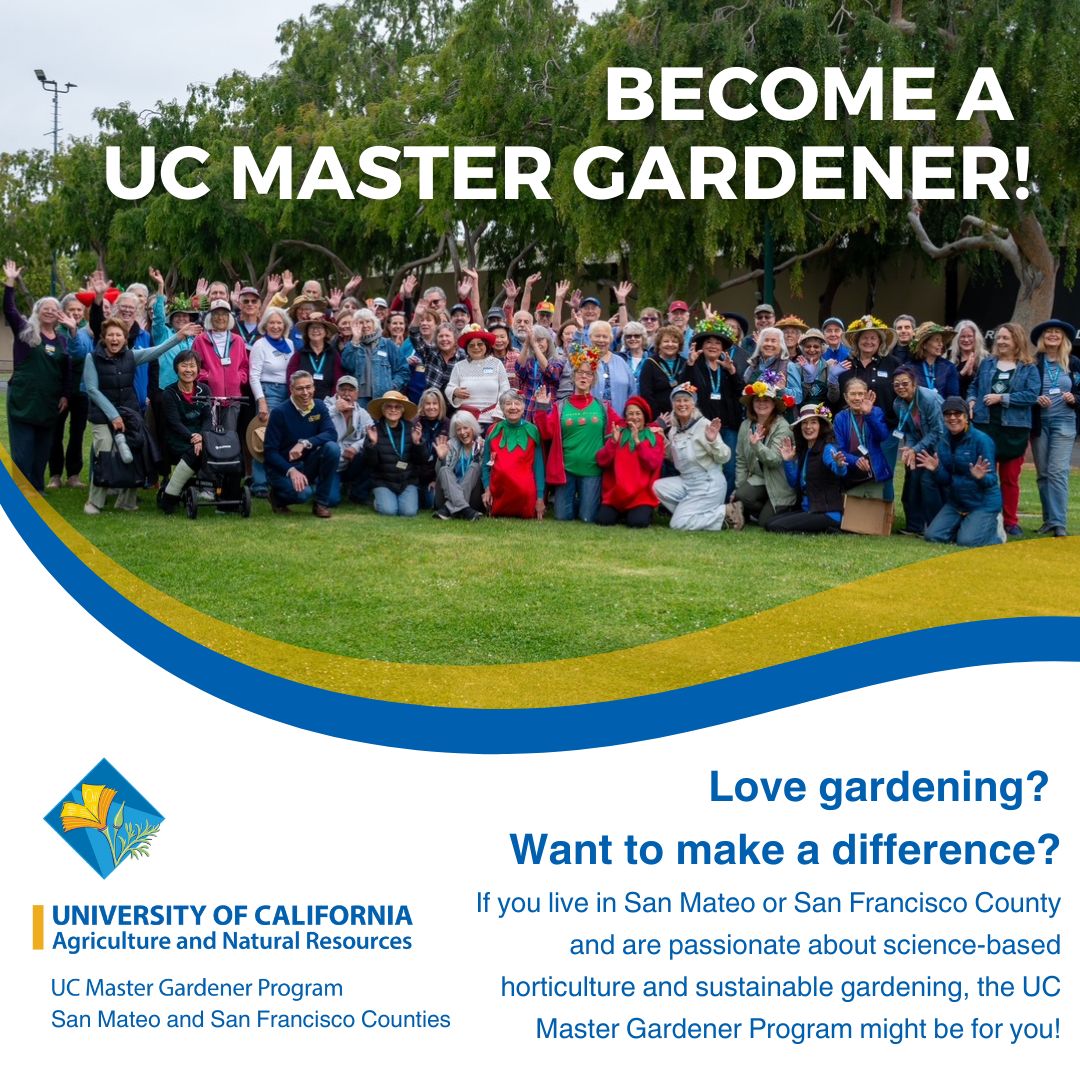 SMSF MasterGardeners tweet media