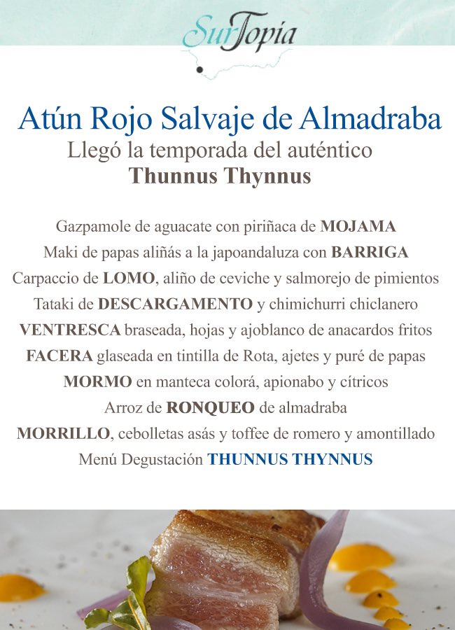 Thunnus Thynnus 🐟