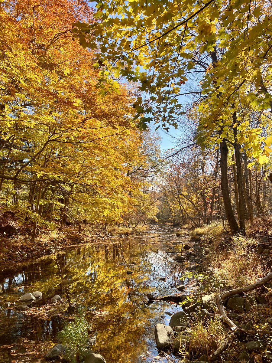 The Last Farm (@thelastfarm) on Twitter photo 