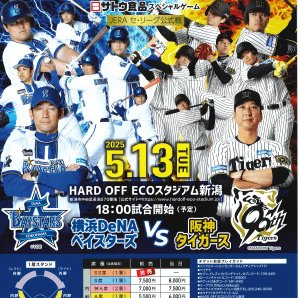 エコスタにプロ野球がやってきます！】 セ・リーグ公式戦 DeNA-阪神⚾5