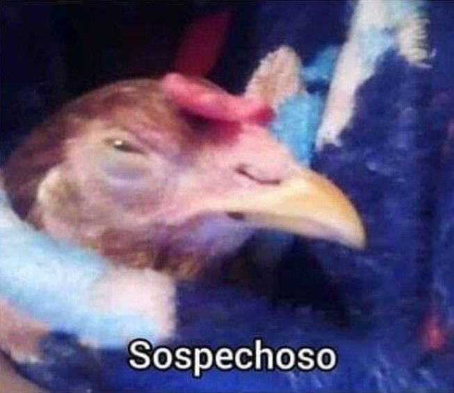 Yosh_G's tweet photo. *Cierran la Capilla Sixtina y comienza el Cónclave*

Todos los Cardenales de otros países viendo al Cardenal de México: https://t.co/zAgh9QspaA