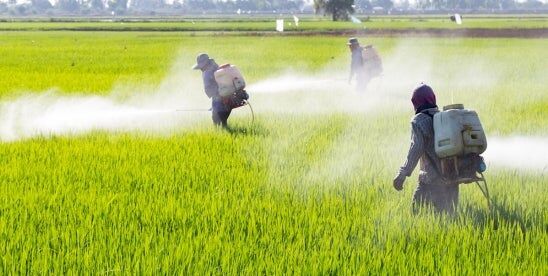 natlawreview's tweet image. EPA Announces Release of Final Insecticide Strategy bit.ly/44qkB8G @SamDavisEsq #insecticide #envirolaw #aglaw
