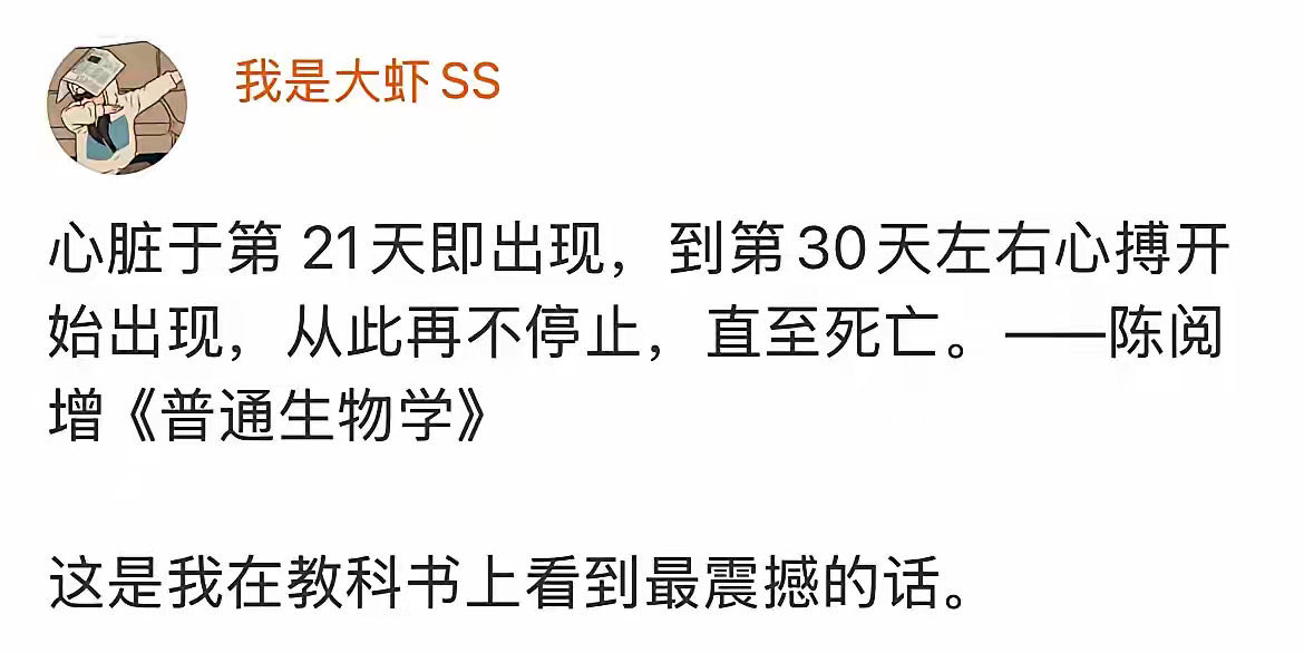 我在教科书上看到最震撼的话