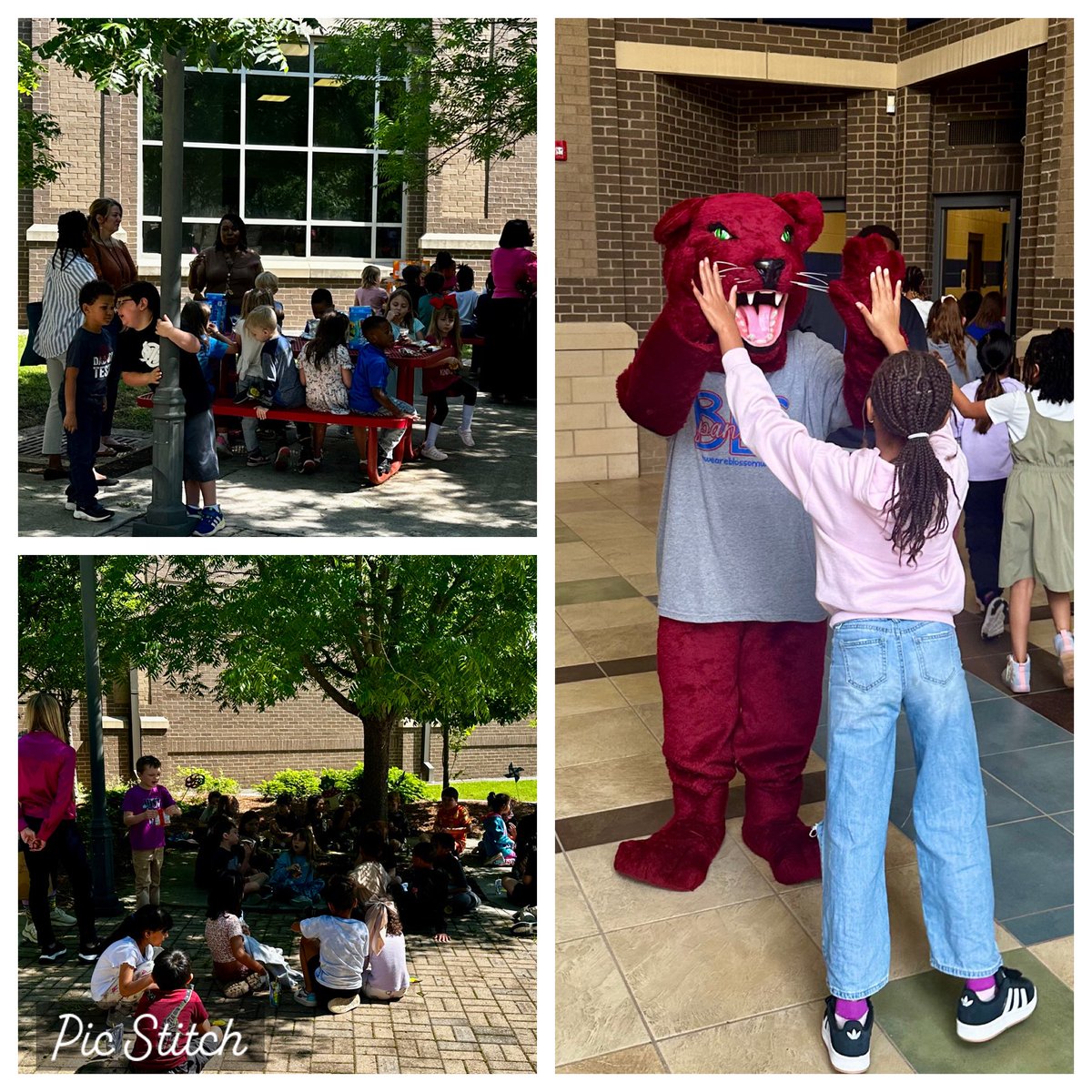 Bradley Scott, Ed.D. tweet media