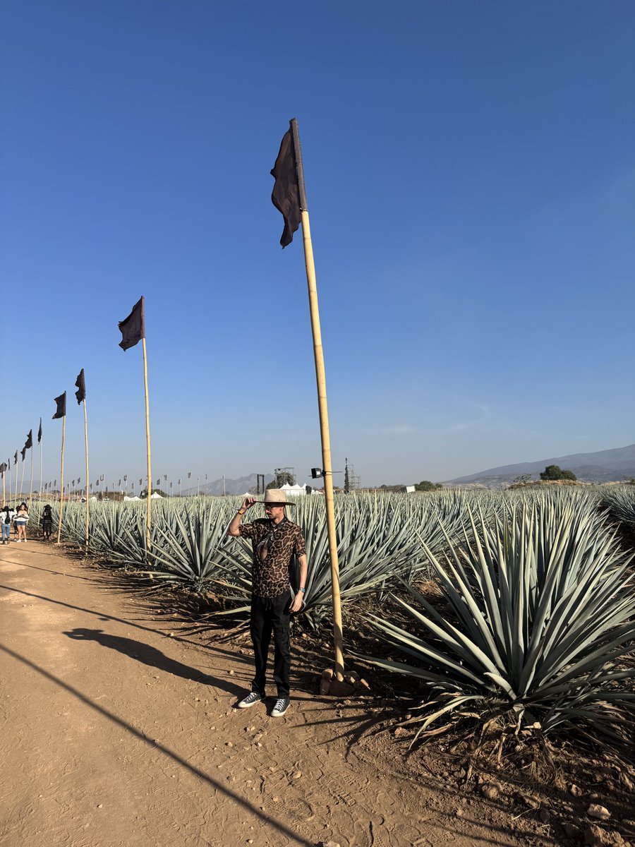 Gilovers 🪩 tweet media