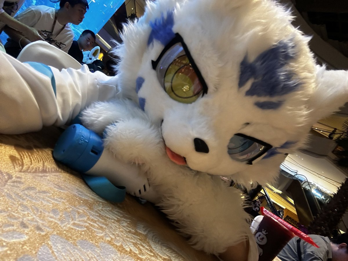 真的很喜欢被摸摸抱抱 만지고 안기는 걸 정말 좋아해 如果我累趴了，你可以抱住然后亲我一口嘛  내가 피곤하면 안아주고 뽀뽀해도 돼😋