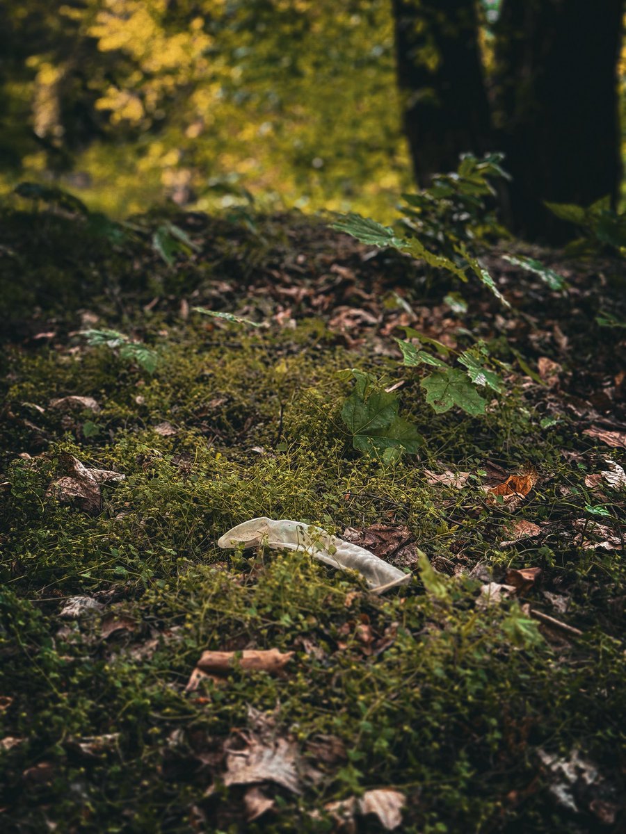 BARE_POZZING tweet media