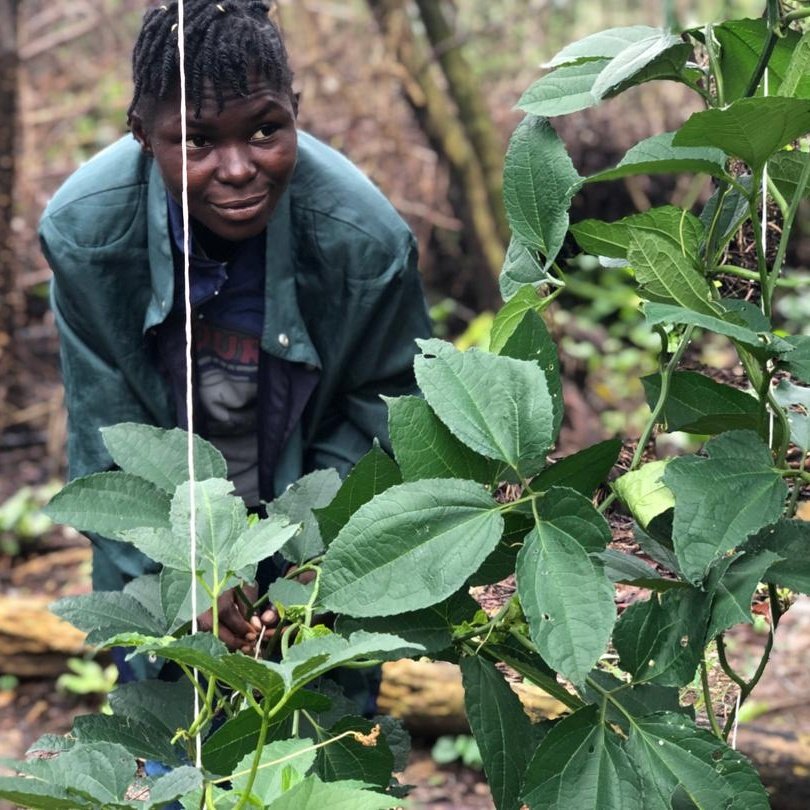 Farmer Aritetsoma Joy Opuro tweet media