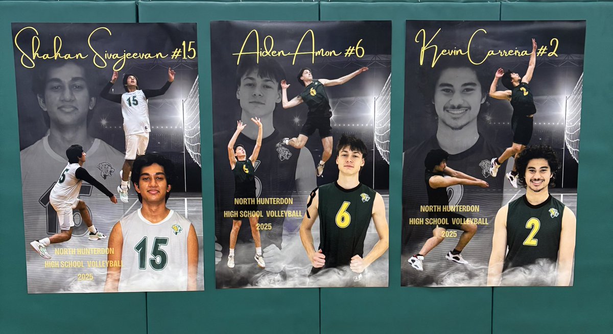 Congratulations to our Boys Volleyball Seniors! Thank you for starting our program 4 years ago - without you none of this would be possible! #lions #pride