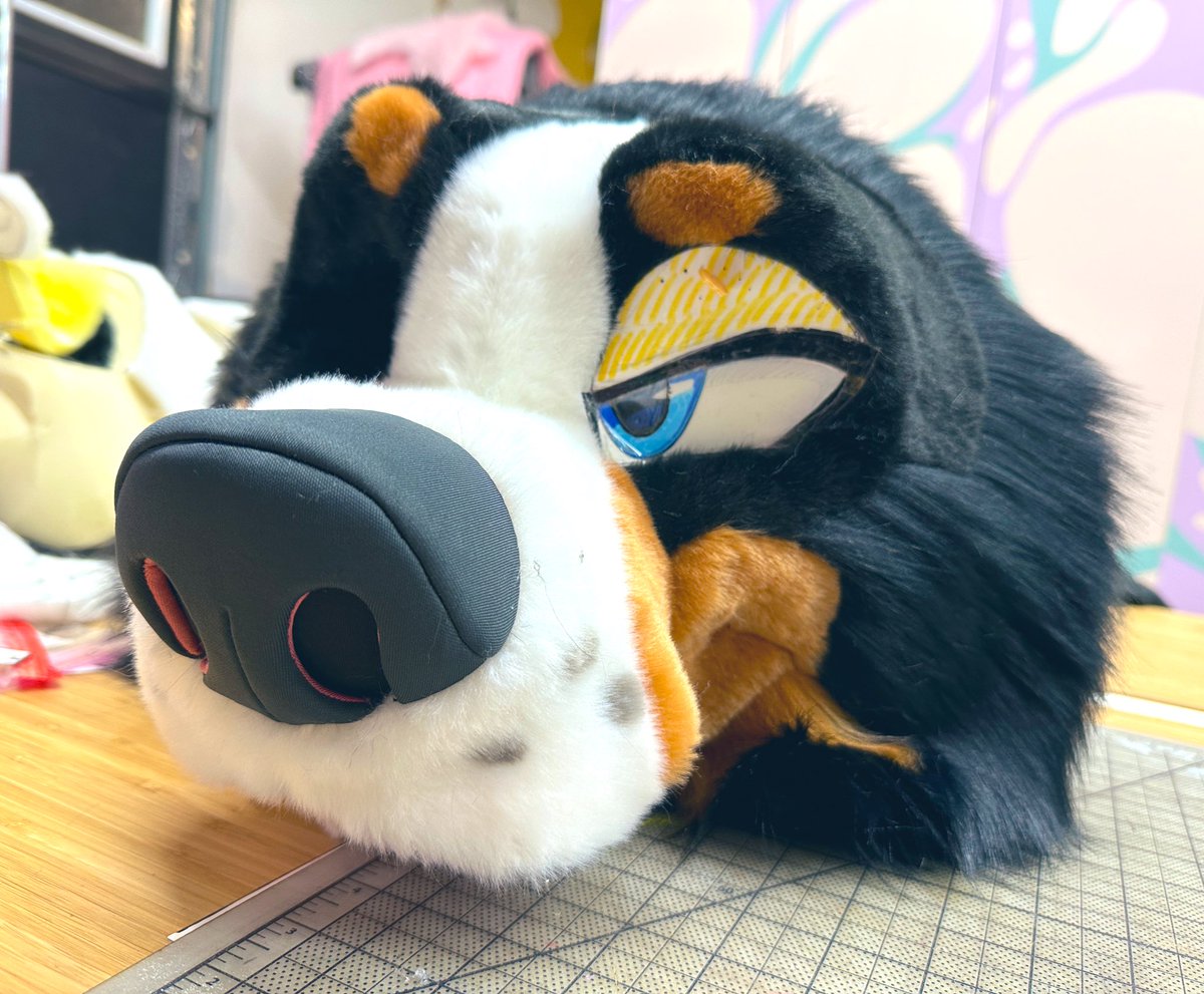 A Bernese Mountain Dog for FWA’s AA