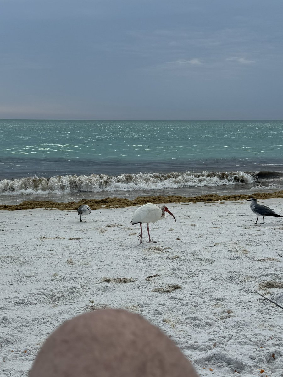 Current situation is good.