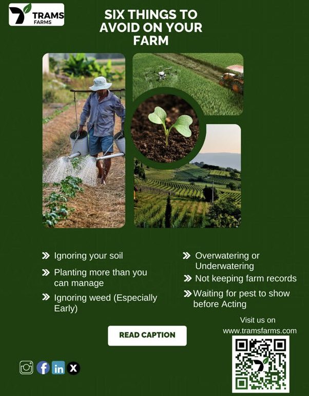 6 Things I’ve Learned to Avoid as a Farmer
1: Don’t ignore your soil
2: Don’t plant more than you can manage
3: Don’t delay weeding
4: Don’t over or underwater
5: Don’t rely on memory
6: Don’t wait for pests to show up
Farming isn’t just about planting it’s about paying attention