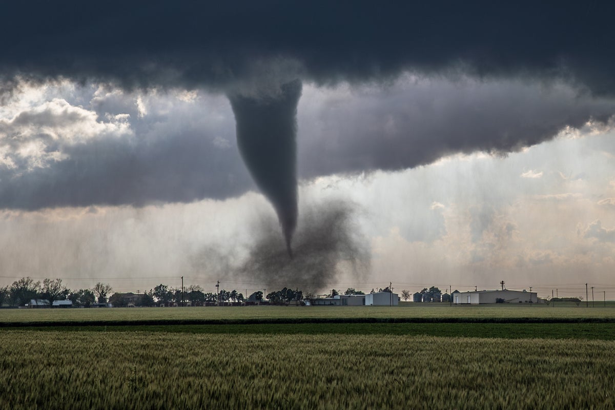 Global Crisis Management Report (@globalcmrpt) on Twitter photo The New Tornado Alley Has Been Hyperactive this Year ow.ly/axrs50VMlK2 <a href="/amsbogm/">AMS Board of Operational Government Meteorologists</a> <a href="/ouwxschargo/">Megan Schargorodski ☁️</a> <a href="/ametsoc/">American Meteorological Society</a> <a href="/NCAR_Science/">NSF National Center for Atmospheric Research</a> <a href="/nwas/">National Weather Association</a> <a href="/99nole/">Ben Nelson</a> <a href="/iaem/">IAEM</a> @nema_web <a href="/fogy_da/">D F</a> <a href="/eyesaresmiling/">Michael Coen</a> <a href="/JBEOC/">John Bobel - EOC</a> <a href="/kellymnyc/">Kelly McKinney</a> <a href="/WCraigFugate/">Craig</a> <a href="/SKuhrEM/">Steven Kuhr</a> The New Tornado Alley Has Been Hyperactive this Year ow.ly/axrs50VMlK2 <a href="/amsbogm/">AMS Board of Operational Government Meteorologists</a> <a href="/ouwxschargo/">Megan Schargorodski ☁️</a> <a href="/ametsoc/">American Meteorological Society</a> <a href="/NCAR_Science/">NSF National Center for Atmospheric Research</a> <a href="/nwas/">National Weather Association</a> <a href="/99nole/">Ben Nelson</a> <a href="/iaem/">IAEM</a> @nema_web <a href="/fogy_da/">D F</a> <a href="/eyesaresmiling/">Michael Coen</a> <a href="/JBEOC/">John Bobel - EOC</a> <a href="/kellymnyc/">Kelly McKinney</a> <a href="/WCraigFugate/">Craig</a> <a href="/SKuhrEM/">Steven Kuhr</a>
