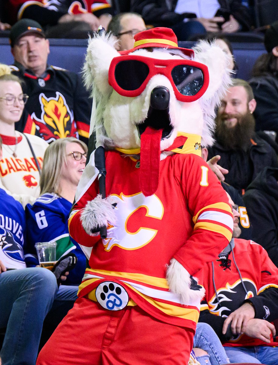 CGY Team Store tweet media