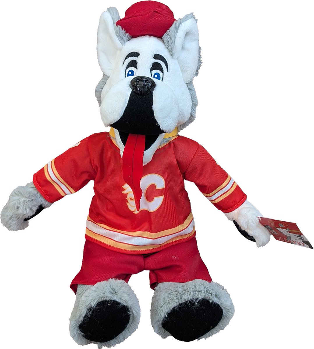 CGY Team Store tweet media